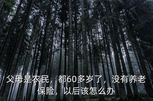父母是農(nóng)民，都60多歲了，沒有養(yǎng)老保險(xiǎn)，以后該怎么辦