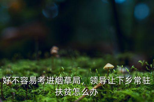 好不容易考進煙草局，領(lǐng)導讓下鄉(xiāng)常駐扶貧怎么辦