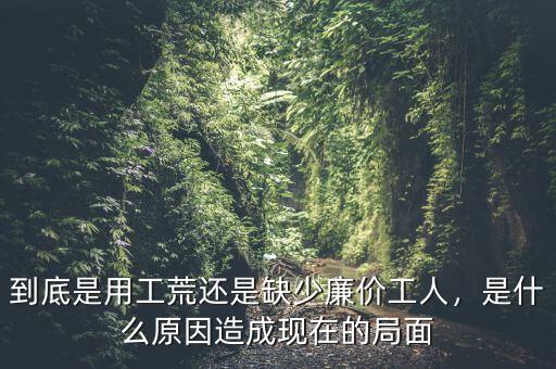 到底是用工荒還是缺少廉價(jià)工人，是什么原因造成現(xiàn)在的局面