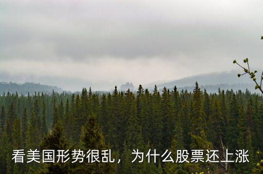 看美國形勢很亂，為什么股票還上漲