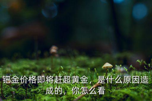 鈀金價格即將趕超黃金，是什么原因造成的，你怎么看