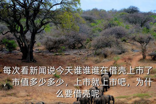 每次看新聞?wù)f今天誰誰誰在借殼上市了，市值多少多少，上市就上市吧，為什么要借殼呢