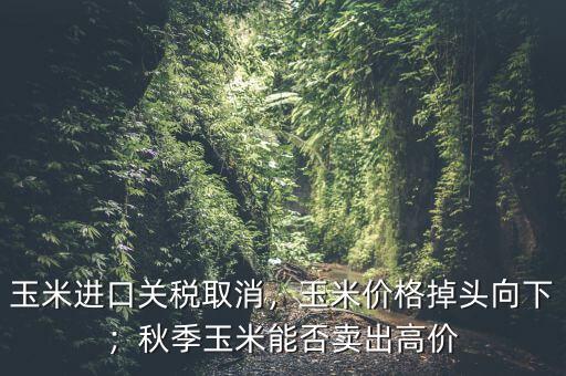 玉米進(jìn)口關(guān)稅取消，玉米價(jià)格掉頭向下；秋季玉米能否賣出高價(jià)