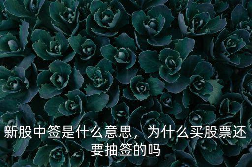 新股中簽是什么意思，為什么買股票還要抽簽的嗎