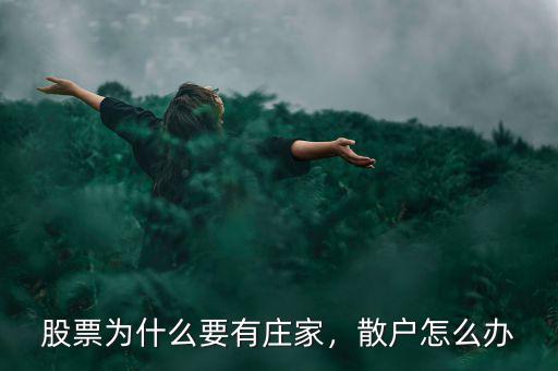 股票為什么要有莊家，散戶怎么辦