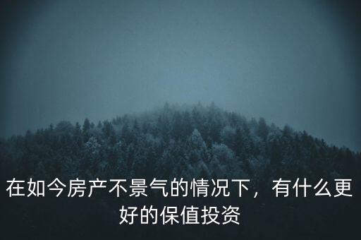 在如今房產(chǎn)不景氣的情況下，有什么更好的保值投資