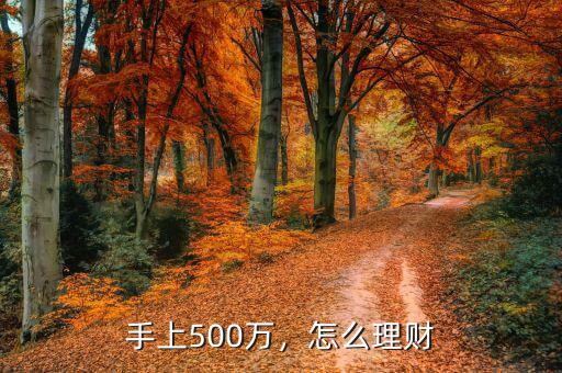 手上500萬，怎么理財