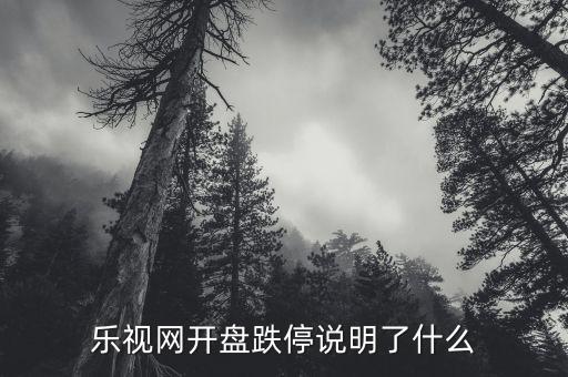 樂(lè)視網(wǎng)開(kāi)盤跌停說(shuō)明了什么
