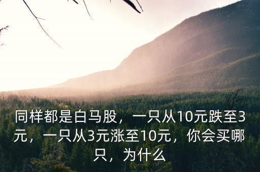 同樣都是白馬股，一只從10元跌至3元，一只從3元漲至10元，你會(huì)買哪只，為什么