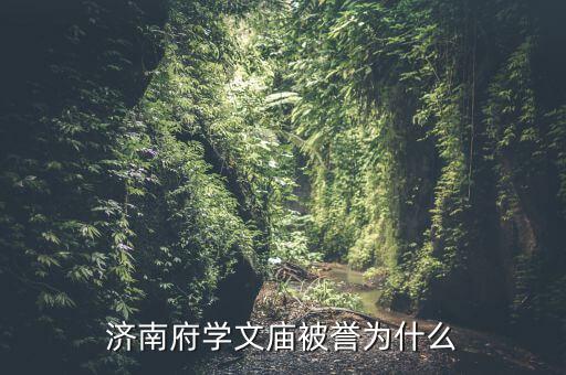 濟(jì)南文廟男女開(kāi)筆禮有什么區(qū)別,濟(jì)南府學(xué)文廟被譽(yù)為什么