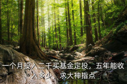 一個(gè)月投入二千買(mǎi)基金定投，五年能收入多少，求大神指點(diǎn)