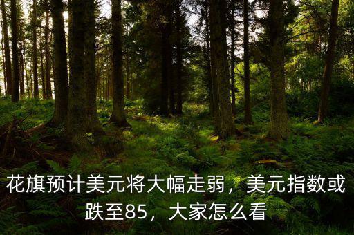 花旗預(yù)計(jì)美元將大幅走弱，美元指數(shù)或跌至85，大家怎么看
