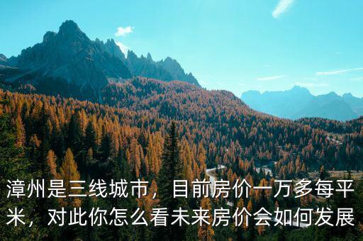 漳州是三線城市，目前房?jī)r(jià)一萬(wàn)多每平米，對(duì)此你怎么看未來(lái)房?jī)r(jià)會(huì)如何發(fā)展