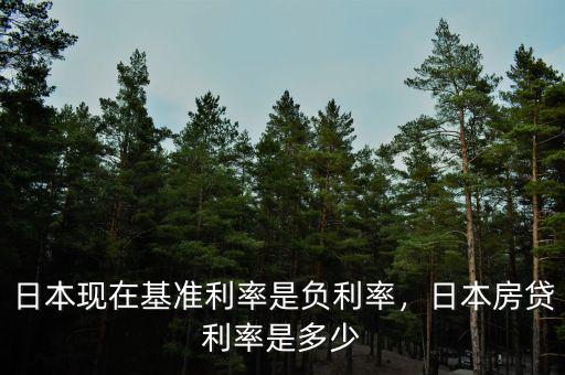 日本的貸款利率是多少,日本現(xiàn)在基準(zhǔn)利率是負利率