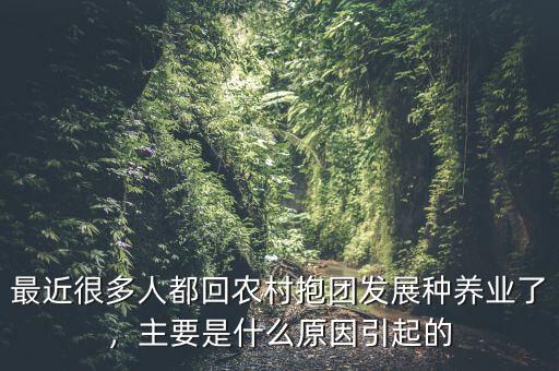 最近很多人都回農(nóng)村抱團發(fā)展種養(yǎng)業(yè)了，主要是什么原因引起的