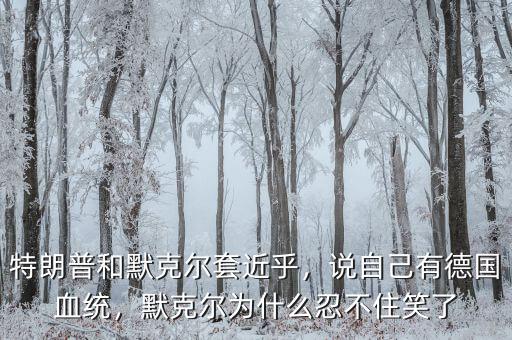 特朗普和默克爾套近乎，說自己有德國血統(tǒng)，默克爾為什么忍不住笑了