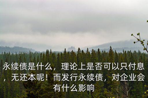 永續(xù)債是什么，理論上是否可以只付息，無還本呢！而發(fā)行永續(xù)債，對(duì)企業(yè)會(huì)有什么影響
