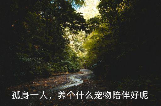 孤身一人，養(yǎng)個什么寵物陪伴好呢