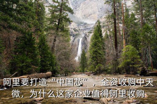 阿里要打造“中國芯”，全資收購中天微，為什么這家企業(yè)值得阿里收購