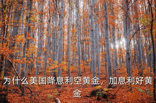 為什么美國(guó)降息利空黃金，加息利好黃金