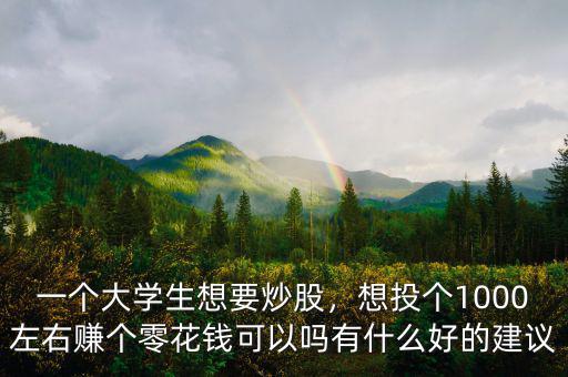 一個(gè)大學(xué)生想要炒股，想投個(gè)1000左右賺個(gè)零花錢可以嗎有什么好的建議