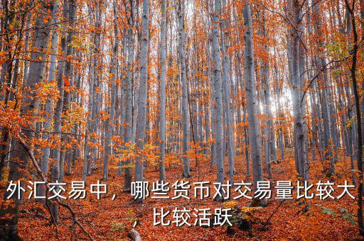 外匯交易中，哪些貨幣對(duì)交易量比較大，比較活躍