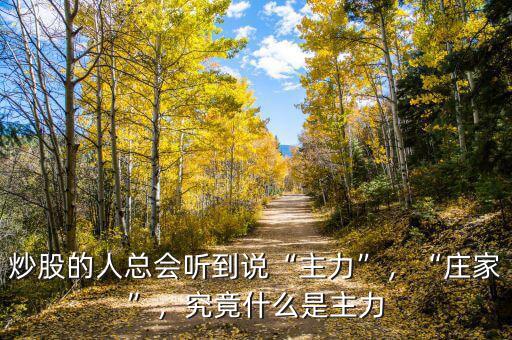 炒股的人總會聽到說“主力”，“莊家”，究竟什么是主力