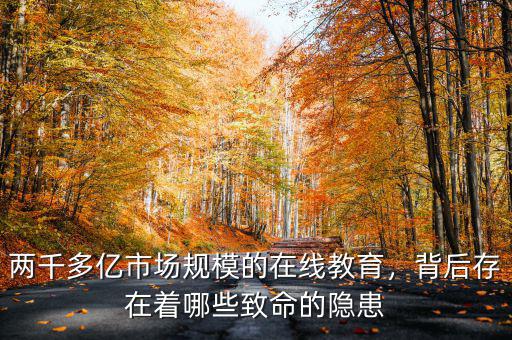 兩千多億市場規(guī)模的在線教育，背后存在著哪些致命的隱患