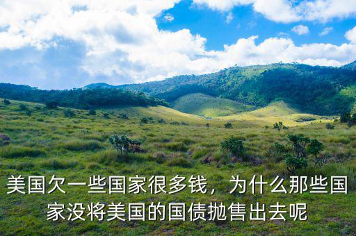 美國(guó)欠一些國(guó)家很多錢(qián)，為什么那些國(guó)家沒(méi)將美國(guó)的國(guó)債拋售出去呢