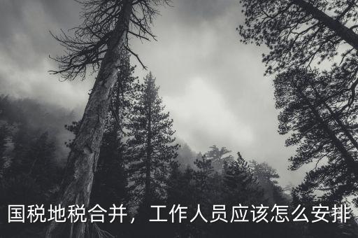 國稅地稅合并，工作人員應(yīng)該怎么安排