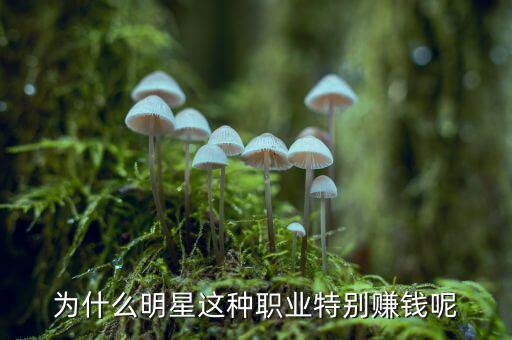 明星那么有錢(qián)為什么還要投資生意,還不及一個(gè)明星的片酬高