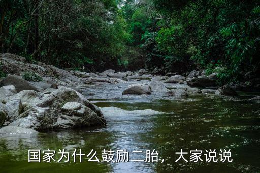 國家為什么鼓勵(lì)二胎，大家說說