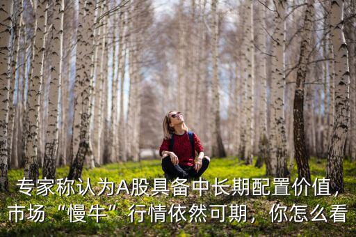 專家稱認(rèn)為A股具備中長期配置價值，市場“慢?！毙星橐廊豢善?，你怎么看