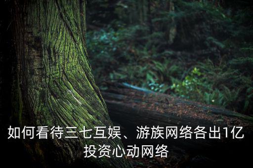 如何看待三七互娛、游族網(wǎng)絡(luò)各出1億投資心動(dòng)網(wǎng)絡(luò)