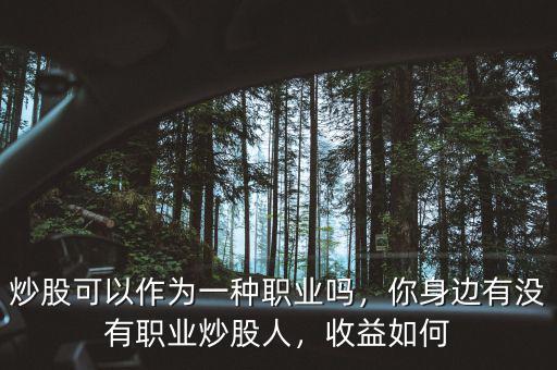 炒股可以作為一種職業(yè)嗎，你身邊有沒(méi)有職業(yè)炒股人，收益如何