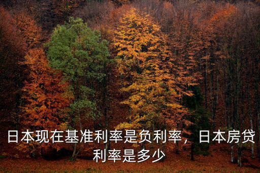 日本現(xiàn)在基準利率是負利率，日本房貸利率是多少