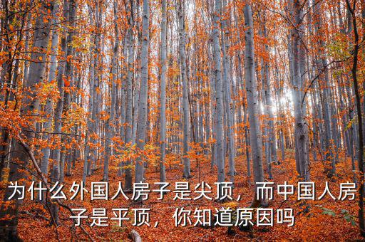 為什么英國房子不高,英國有沒有空調