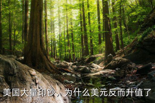 美國(guó)大量印鈔，為什么美元反而升值了