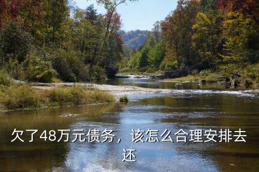 欠了48萬元債務(wù)，該怎么合理安排去還