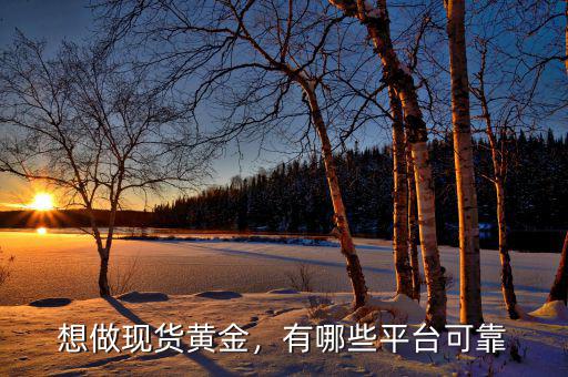 想做現(xiàn)貨黃金，有哪些平臺可靠