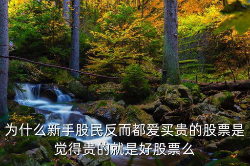 為什么新手股民反而都愛(ài)買貴的股票是覺(jué)得貴的就是好股票么