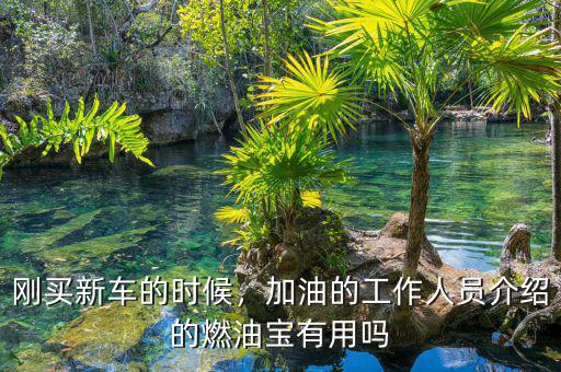 剛買(mǎi)新車(chē)的時(shí)候，加油的工作人員介紹的燃油寶有用嗎