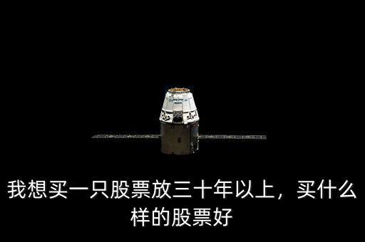 我想買一只股票放三十年以上，買什么樣的股票好