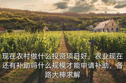 現(xiàn)在農(nóng)村做什么投資項(xiàng)目好，農(nóng)業(yè)現(xiàn)在還有補(bǔ)助嗎什么規(guī)模才能申請補(bǔ)助，各路大神求解