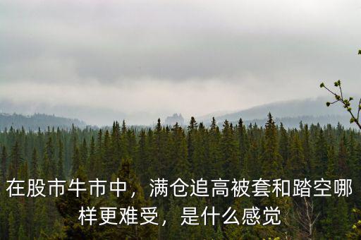 在股市牛市中，滿倉追高被套和踏空哪樣更難受，是什么感覺