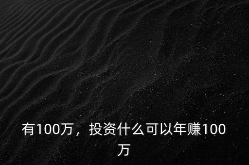 有100萬，投資什么可以年賺100萬