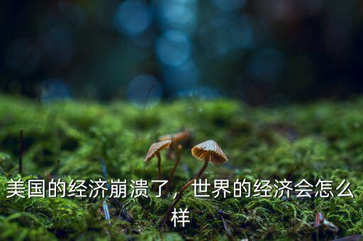 美國(guó)的經(jīng)濟(jì)崩潰了，世界的經(jīng)濟(jì)會(huì)怎么樣