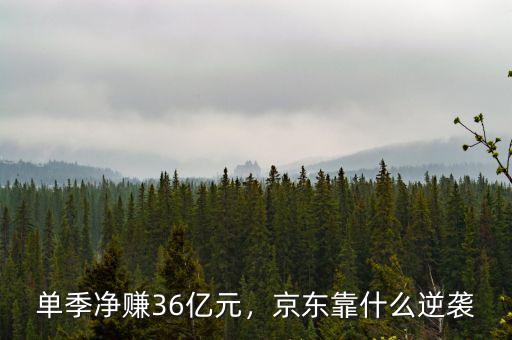 單季凈賺36億元，京東靠什么逆襲
