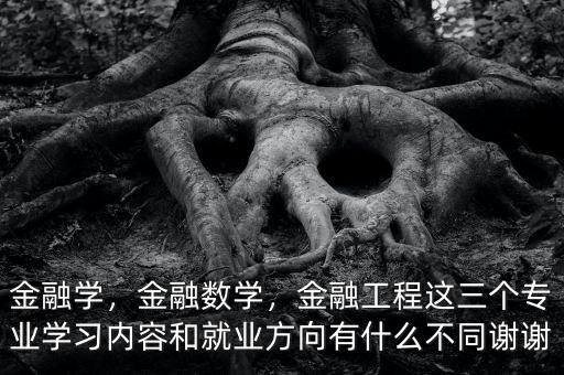 金融學(xué)，金融數(shù)學(xué)，金融工程這三個(gè)專業(yè)學(xué)習(xí)內(nèi)容和就業(yè)方向有什么不同謝謝