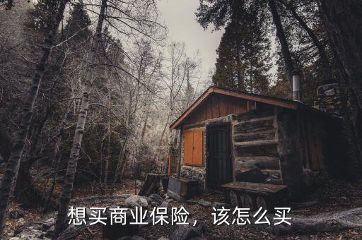 想買商業(yè)保險，該怎么買